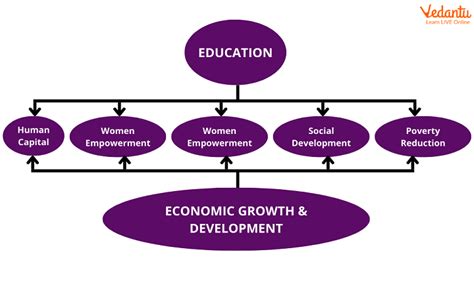 The Role of Economic