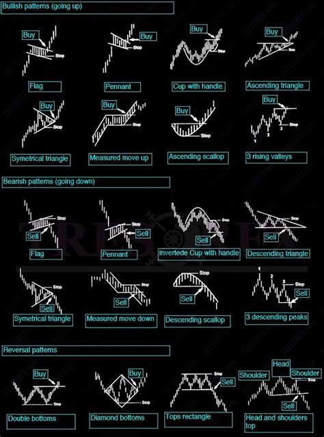 Market Signals and Their