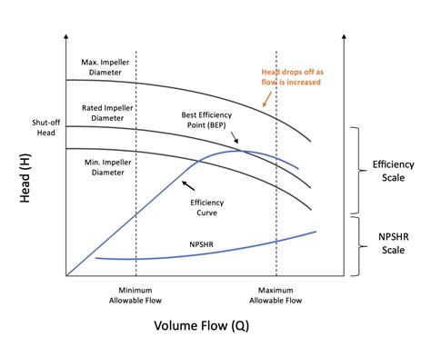 Understanding Pump and Dump